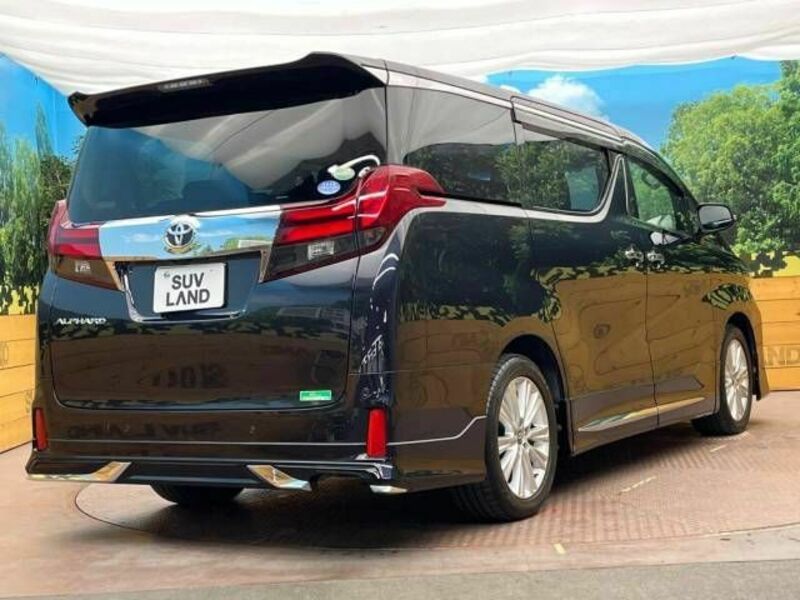 ALPHARD-17