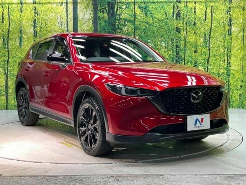 CX-5-17