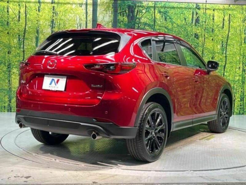 CX-5-18