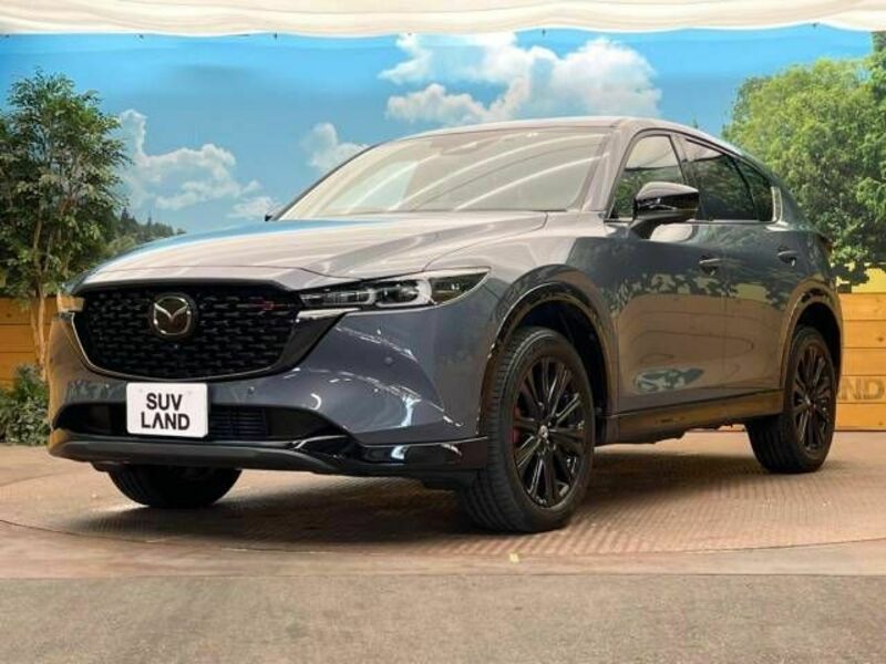 CX-5-11