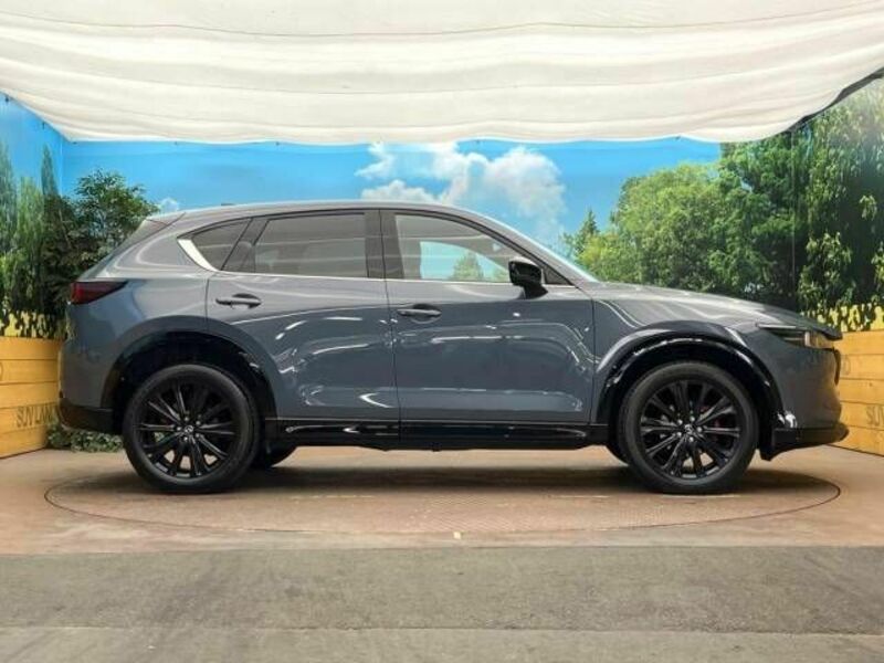 CX-5-14