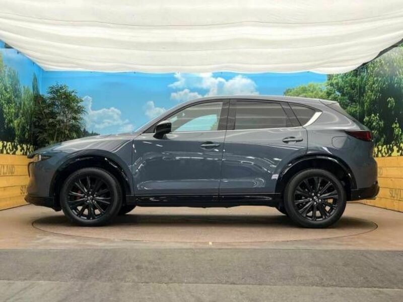 CX-5-18