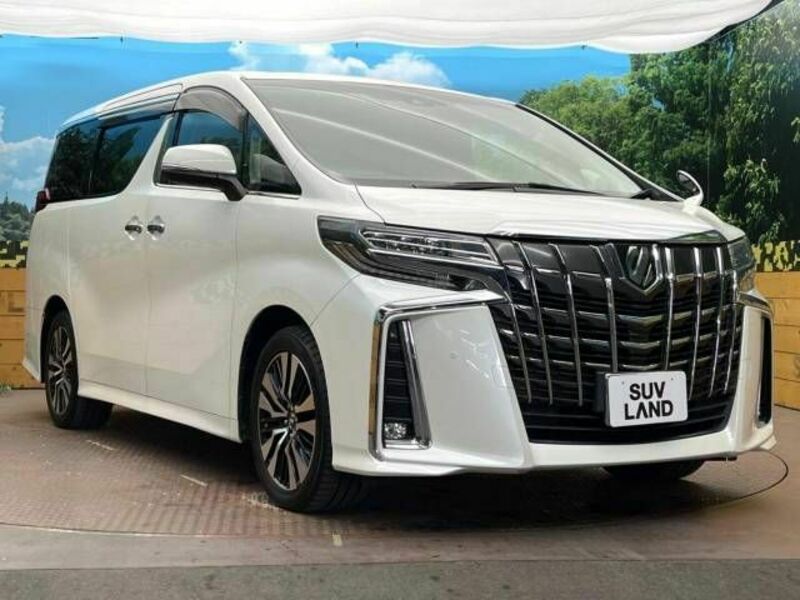 ALPHARD-16