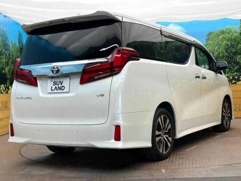 ALPHARD-17