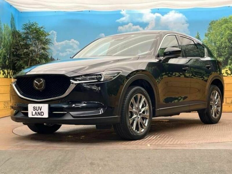 CX-5-16