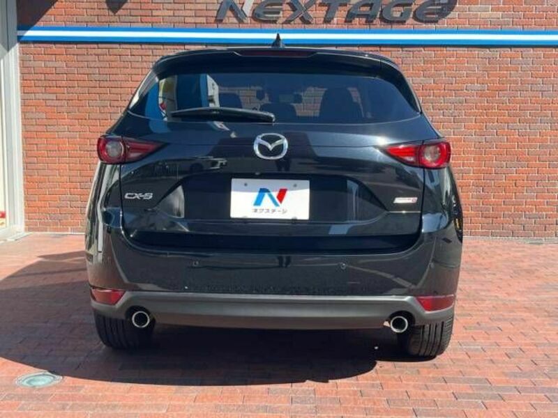 CX-5-19