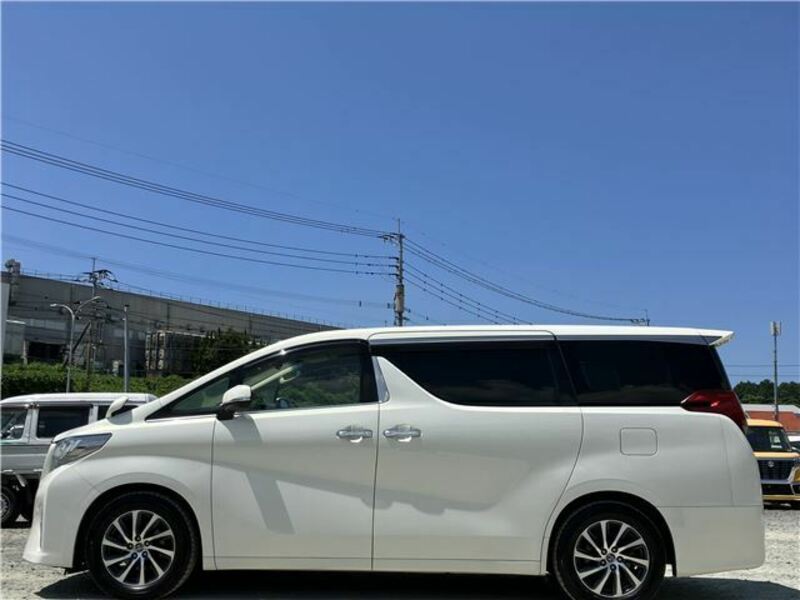 ALPHARD-8