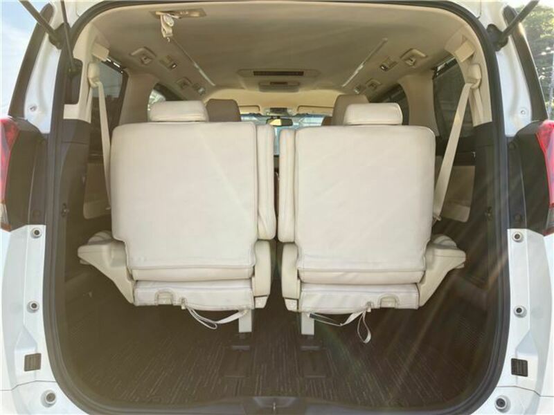 ALPHARD-21