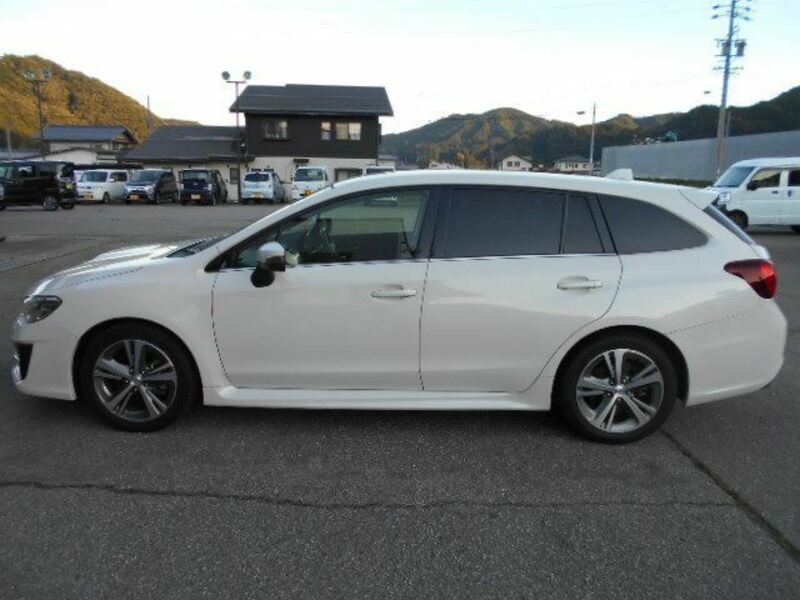 LEVORG-4