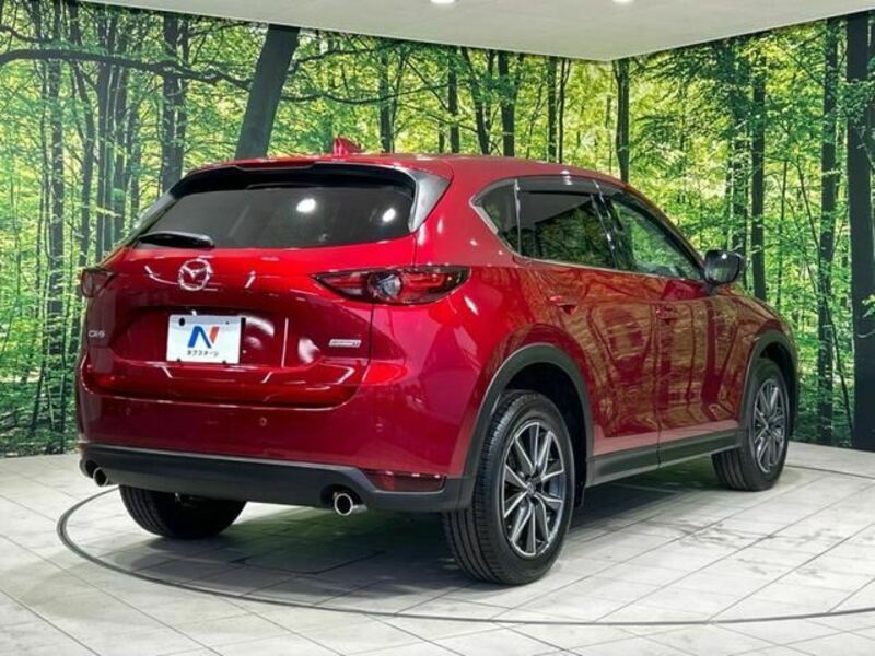 CX-5-1