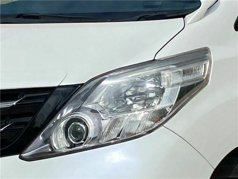 ALPHARD-25