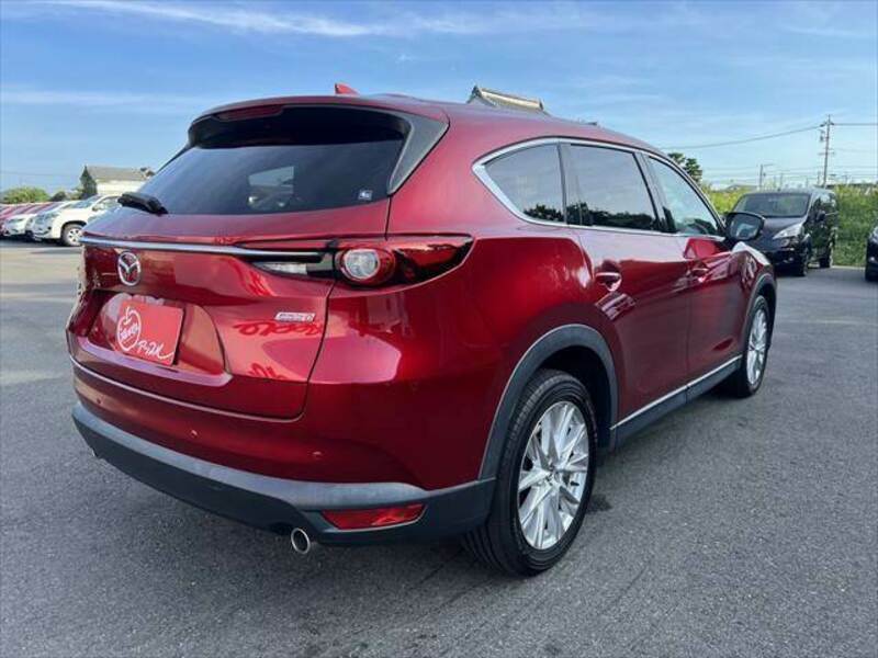 CX-8-17