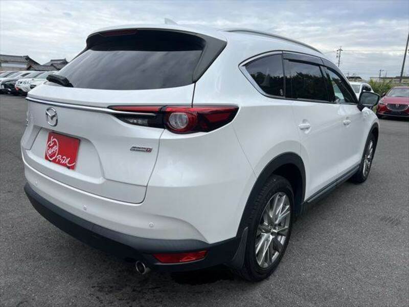 CX-8-19