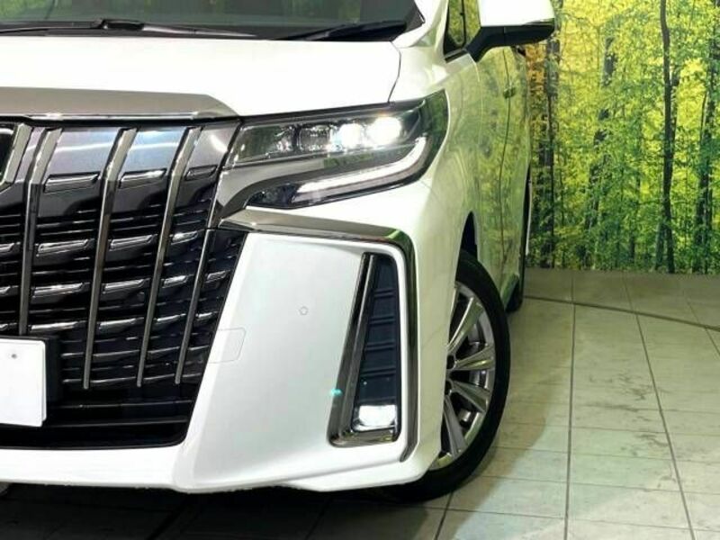 ALPHARD-9