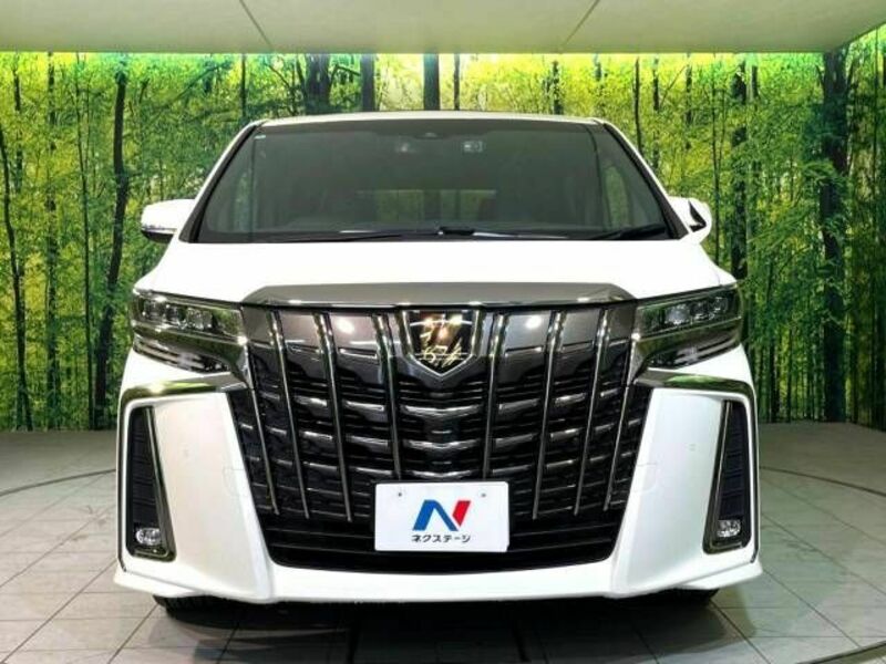 ALPHARD-16