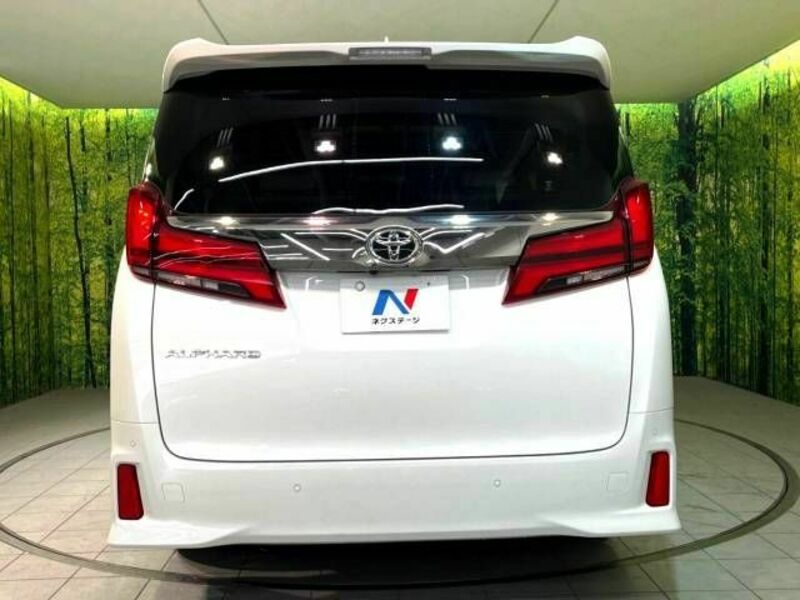 ALPHARD-17