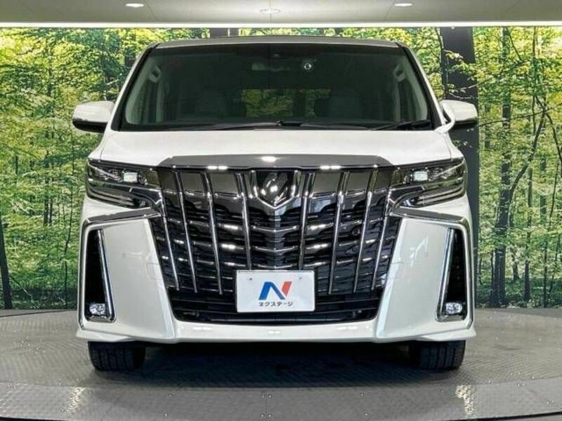 ALPHARD-14