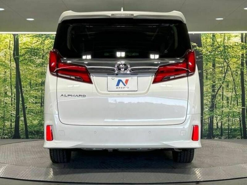 ALPHARD-15