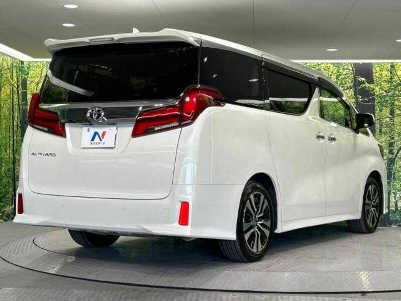 ALPHARD-17