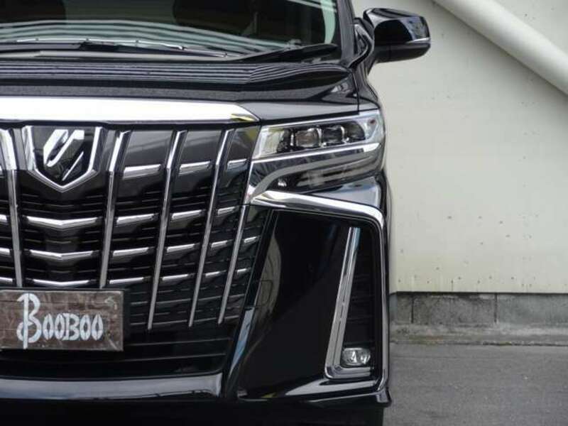 ALPHARD-8