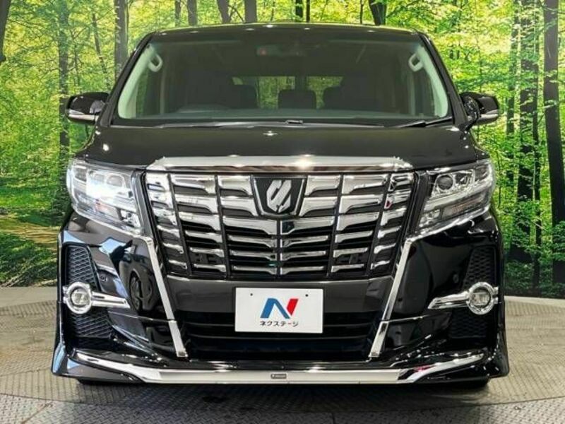 ALPHARD-15