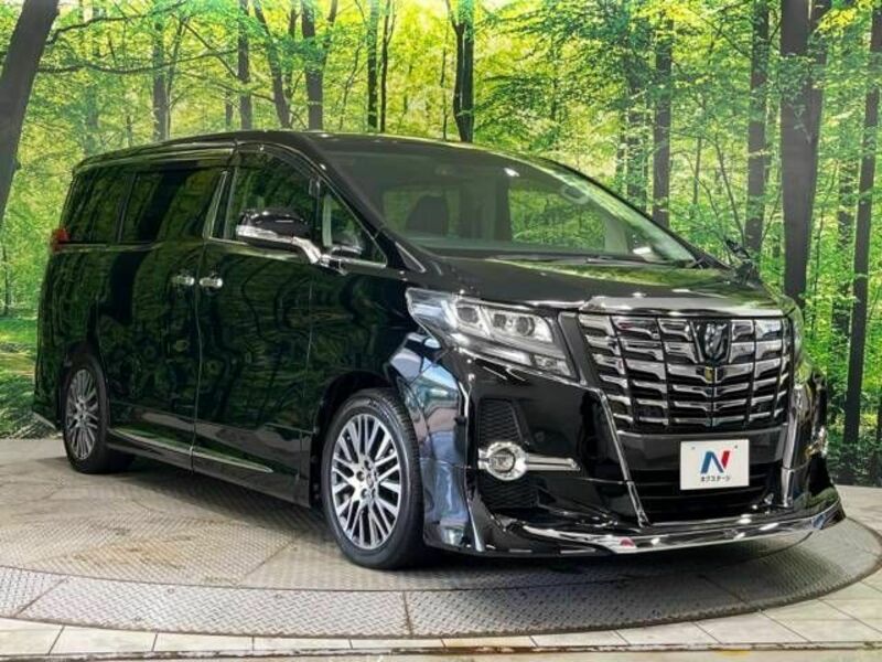 ALPHARD-17