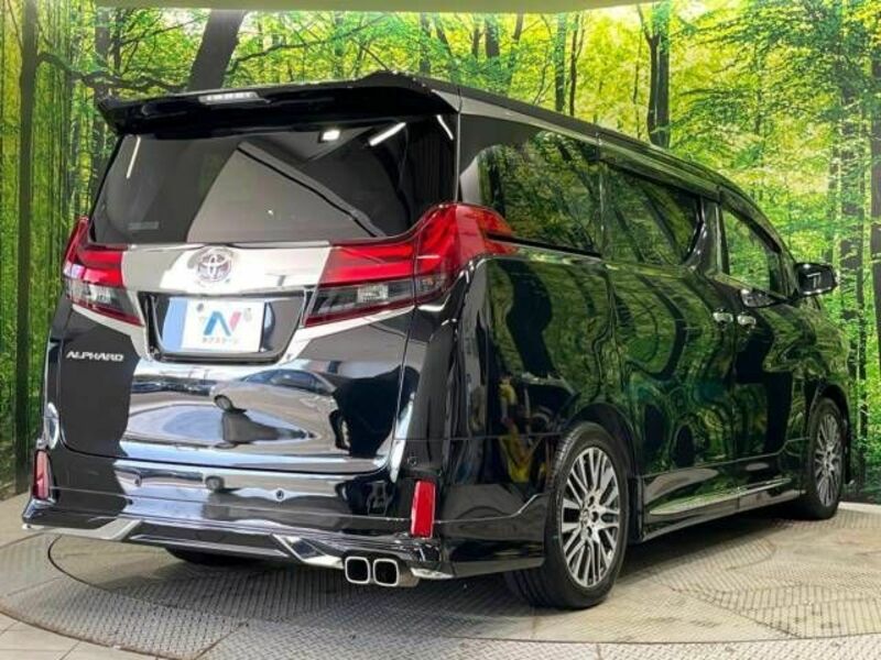 ALPHARD-18