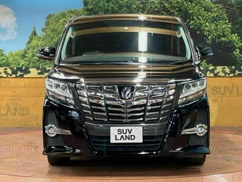 ALPHARD-15