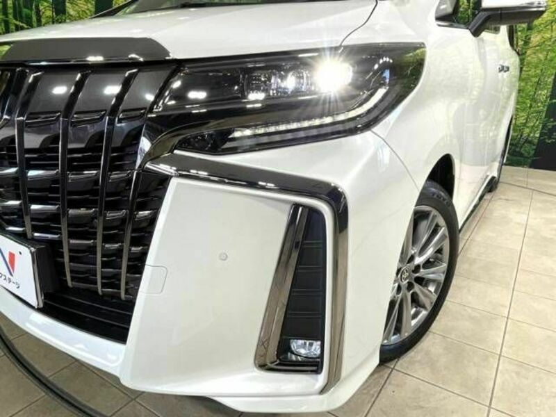 ALPHARD-12