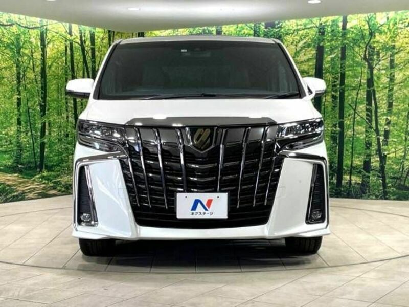 ALPHARD-14