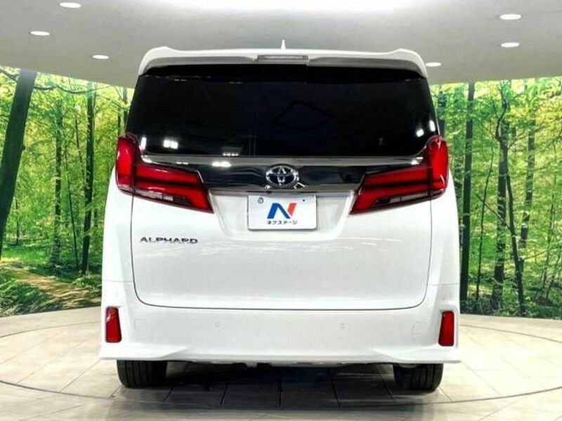 ALPHARD-15