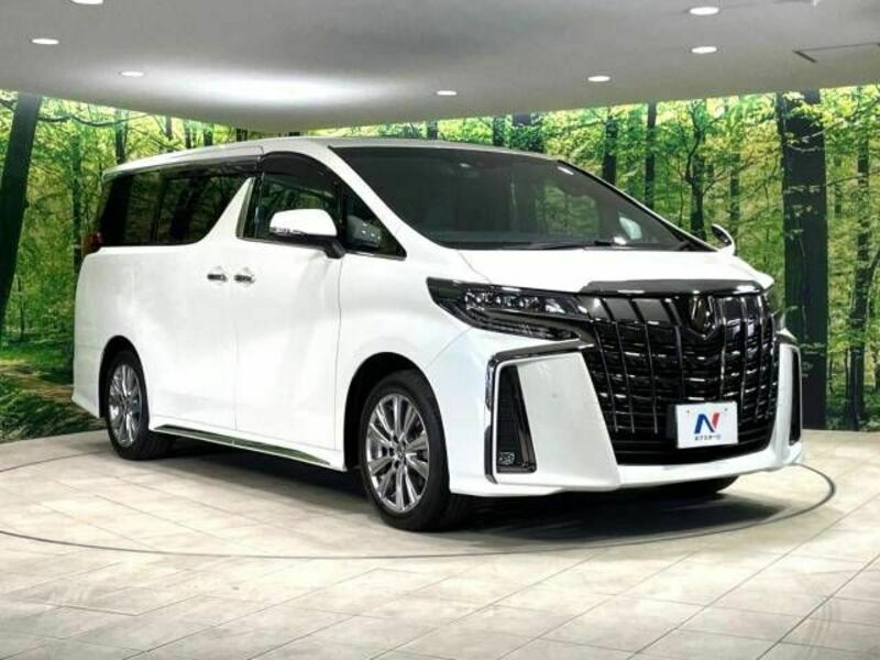 ALPHARD-16