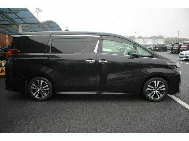 ALPHARD-10