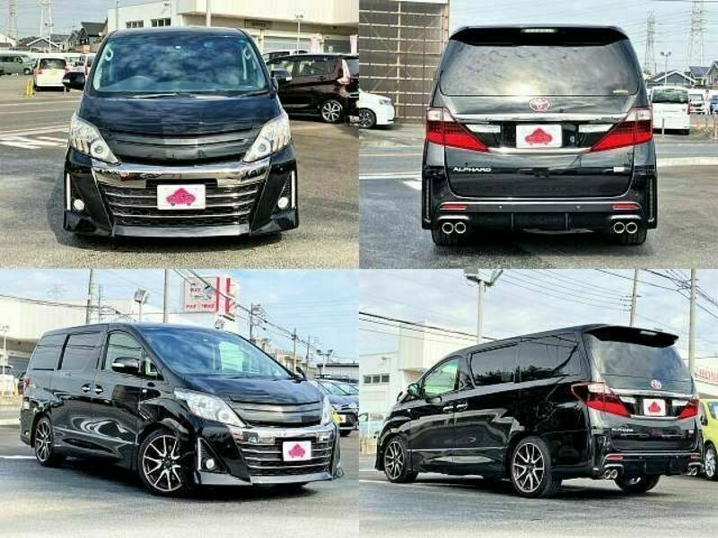 ALPHARD-8