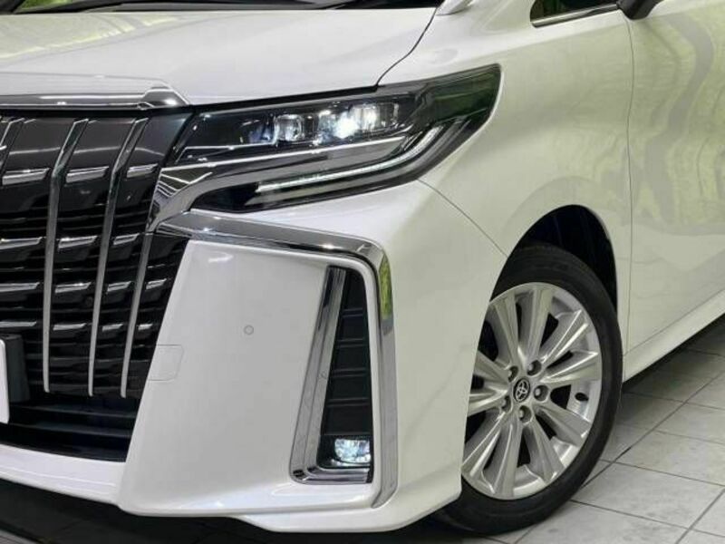 ALPHARD-13