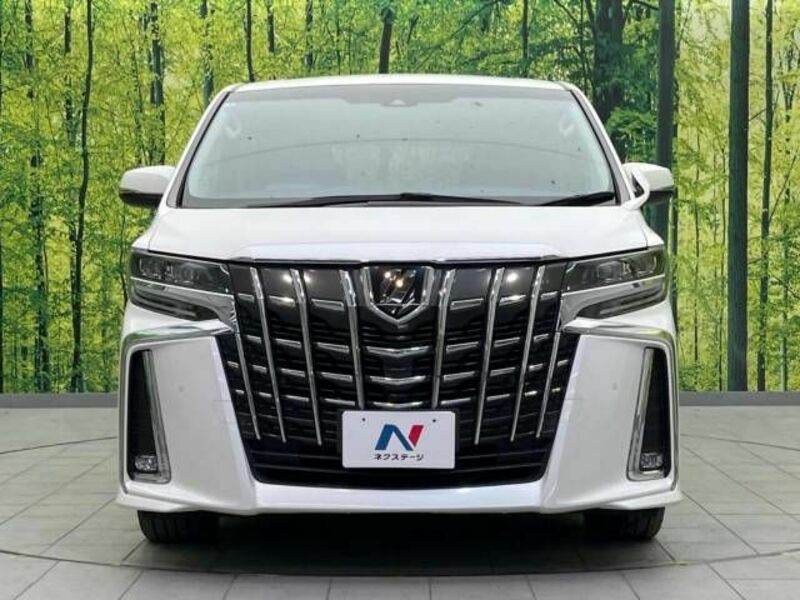 ALPHARD-15