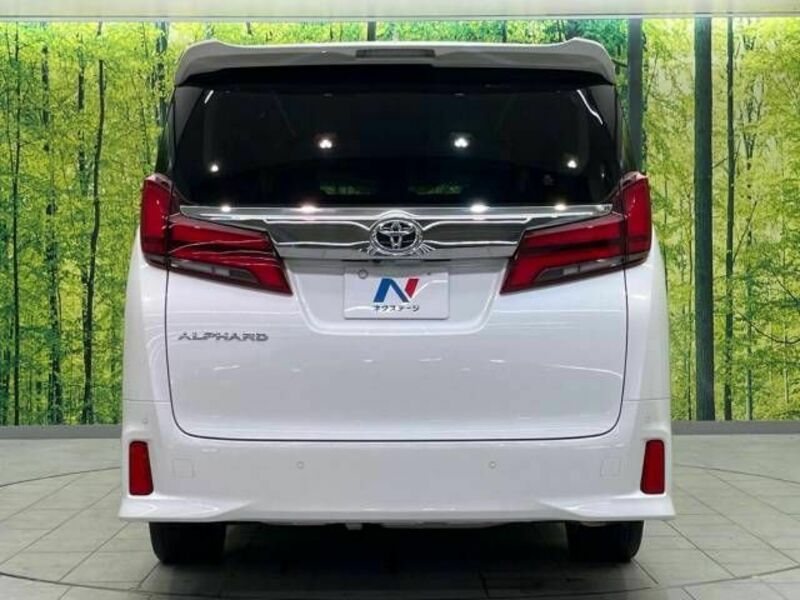 ALPHARD-16