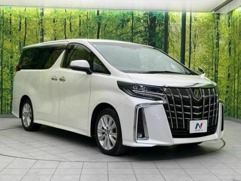 ALPHARD-17