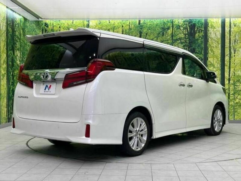 ALPHARD-18