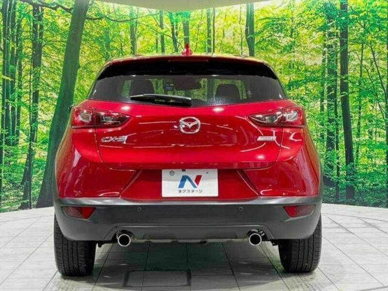 CX-3-15