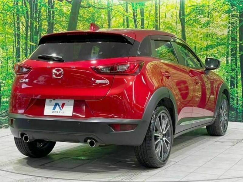 CX-3-17