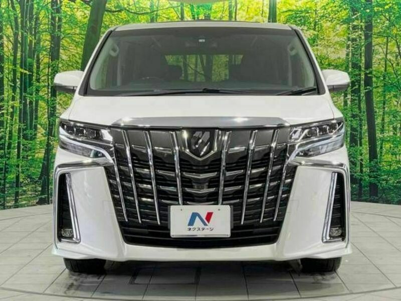 ALPHARD-15