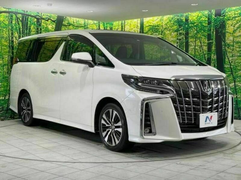 ALPHARD-17