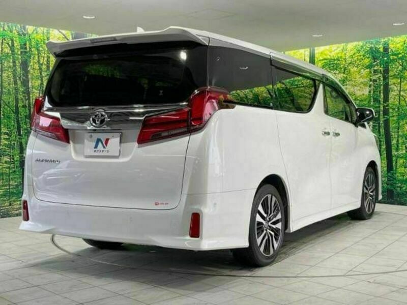 ALPHARD-18