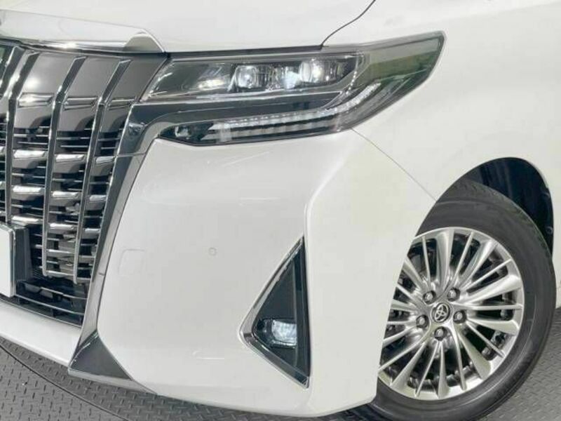 ALPHARD-13