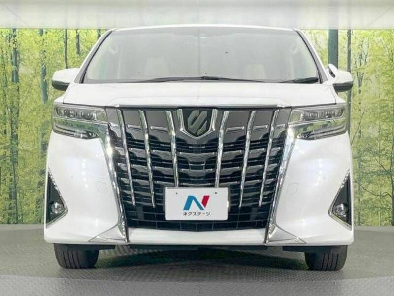 ALPHARD-15