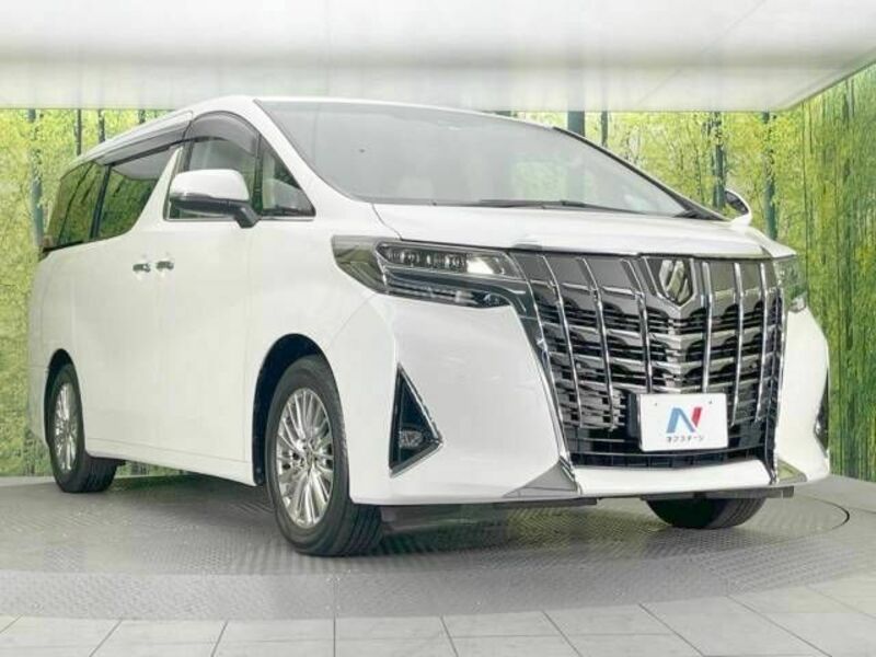 ALPHARD-17