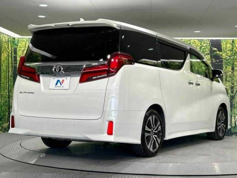 ALPHARD-17