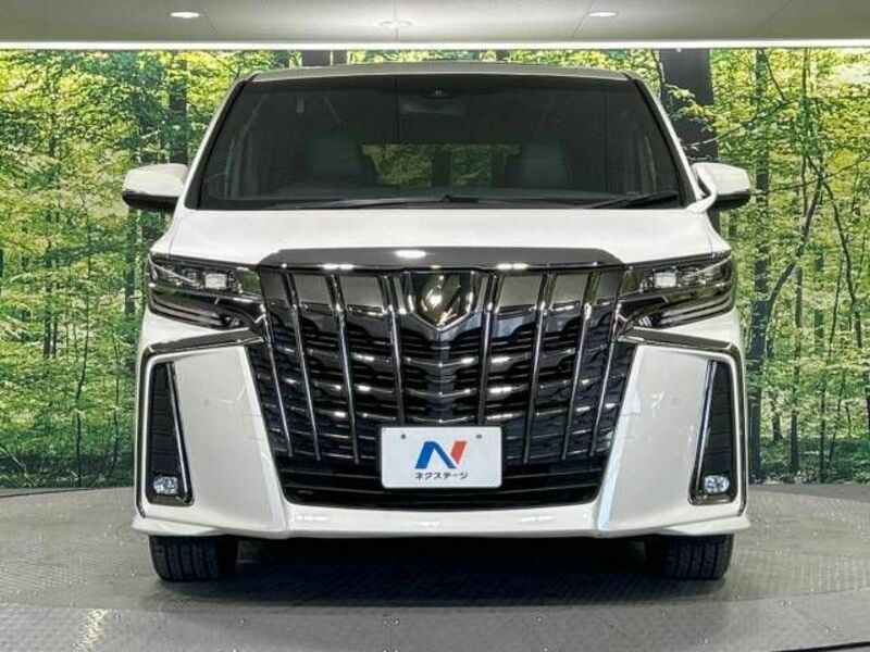 ALPHARD-14