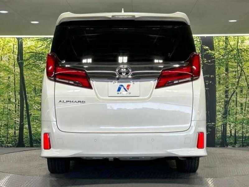 ALPHARD-15